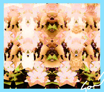 damashie illustrator 000281.jpg