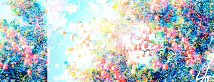 design hana no ki.jpg